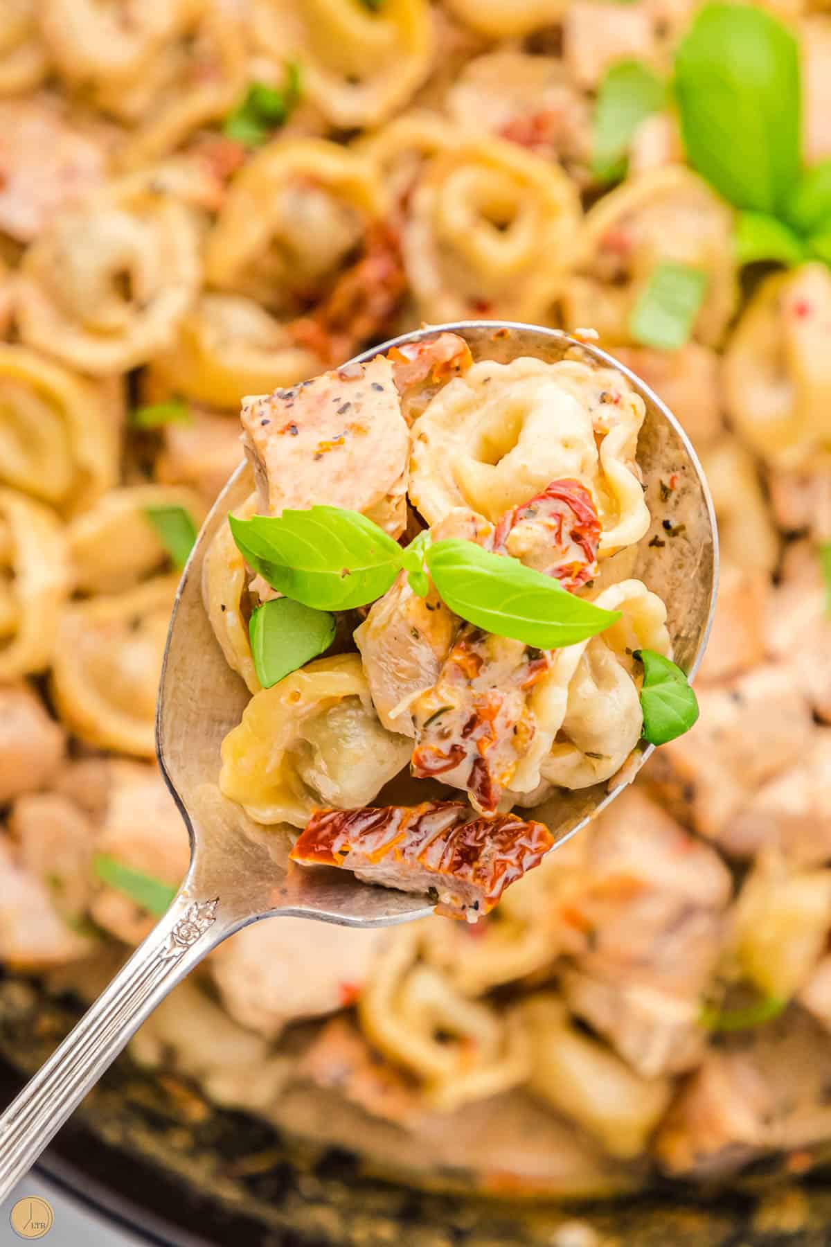close up of chicken and tortellini