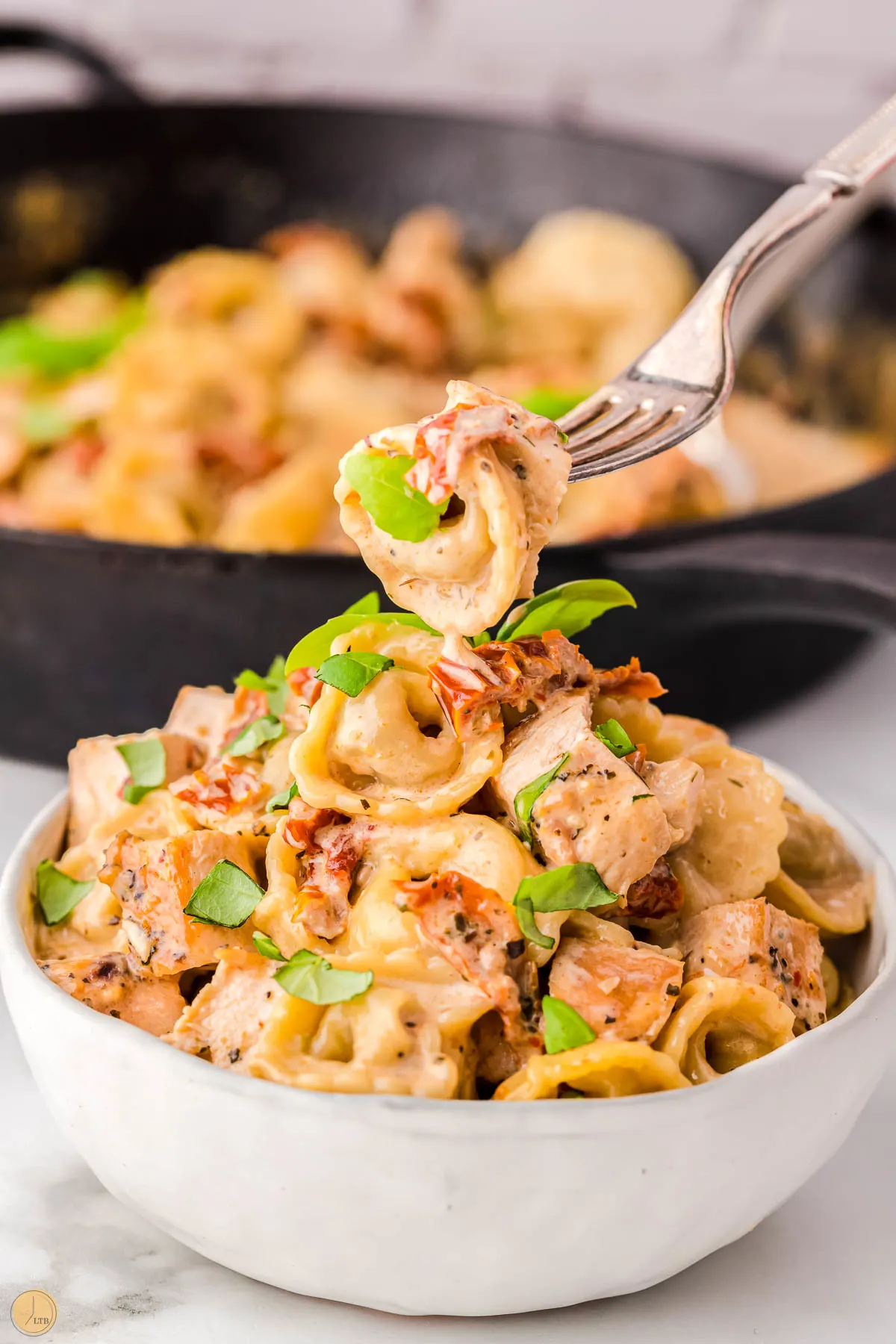 bowl of tortellini with chicken and cream sauce