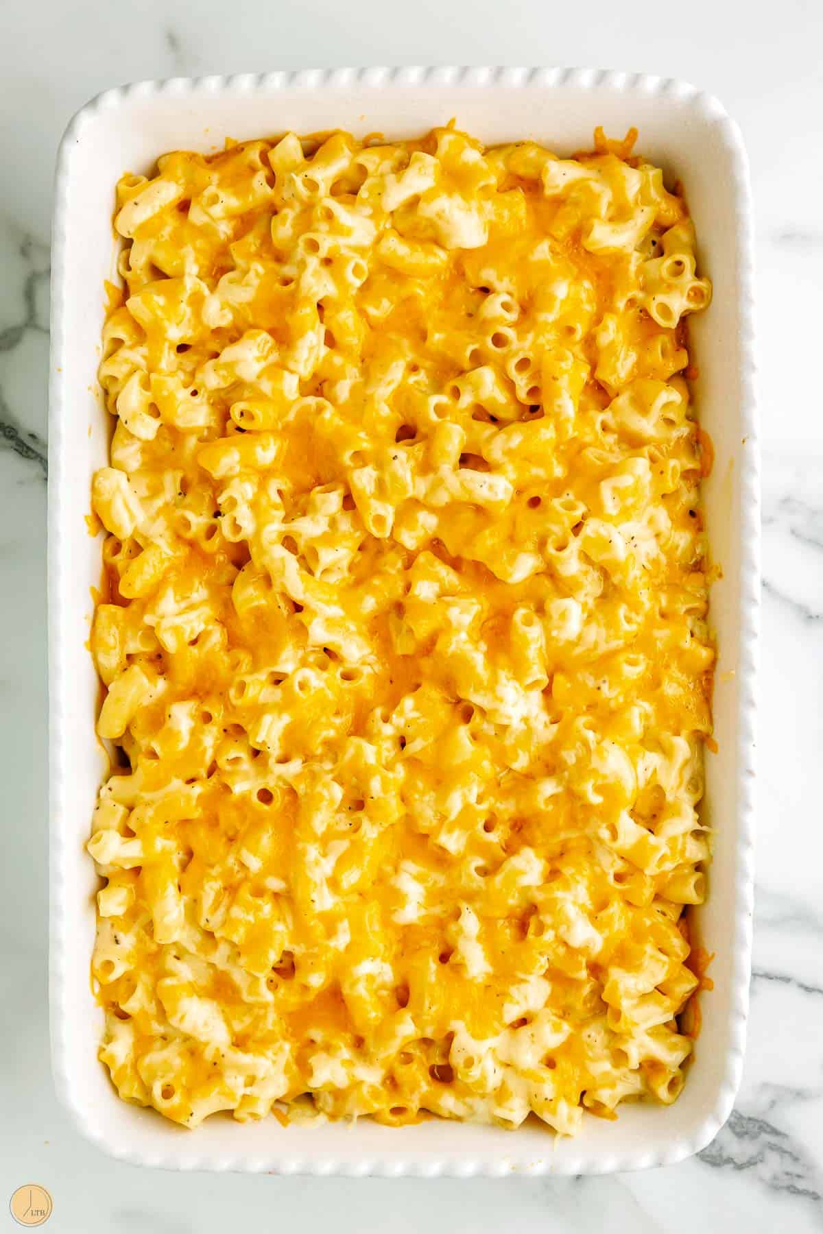top layer of cheeses and a rich sauce with macaroni