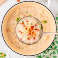 pot of soup with a ladle