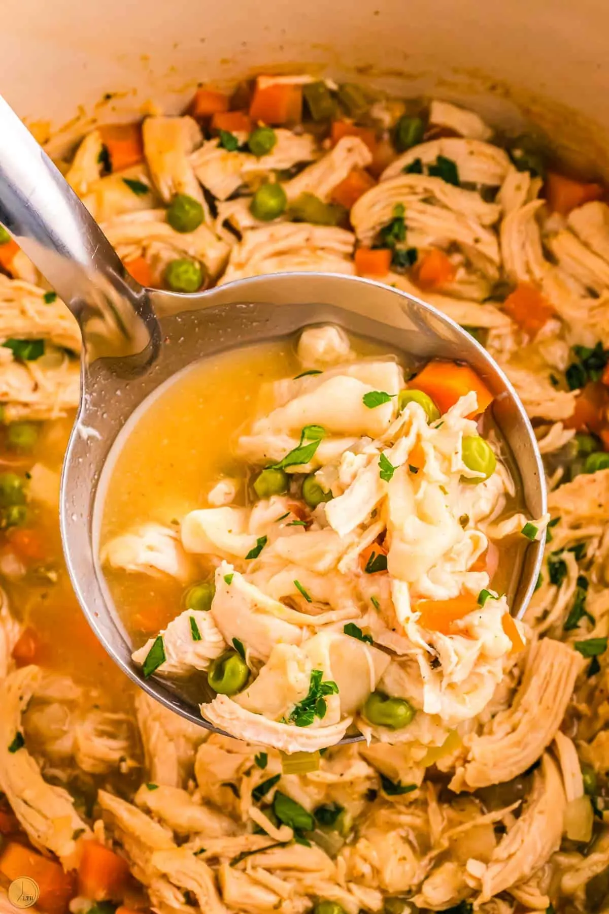 pot of chicken and dumplings with tortillas