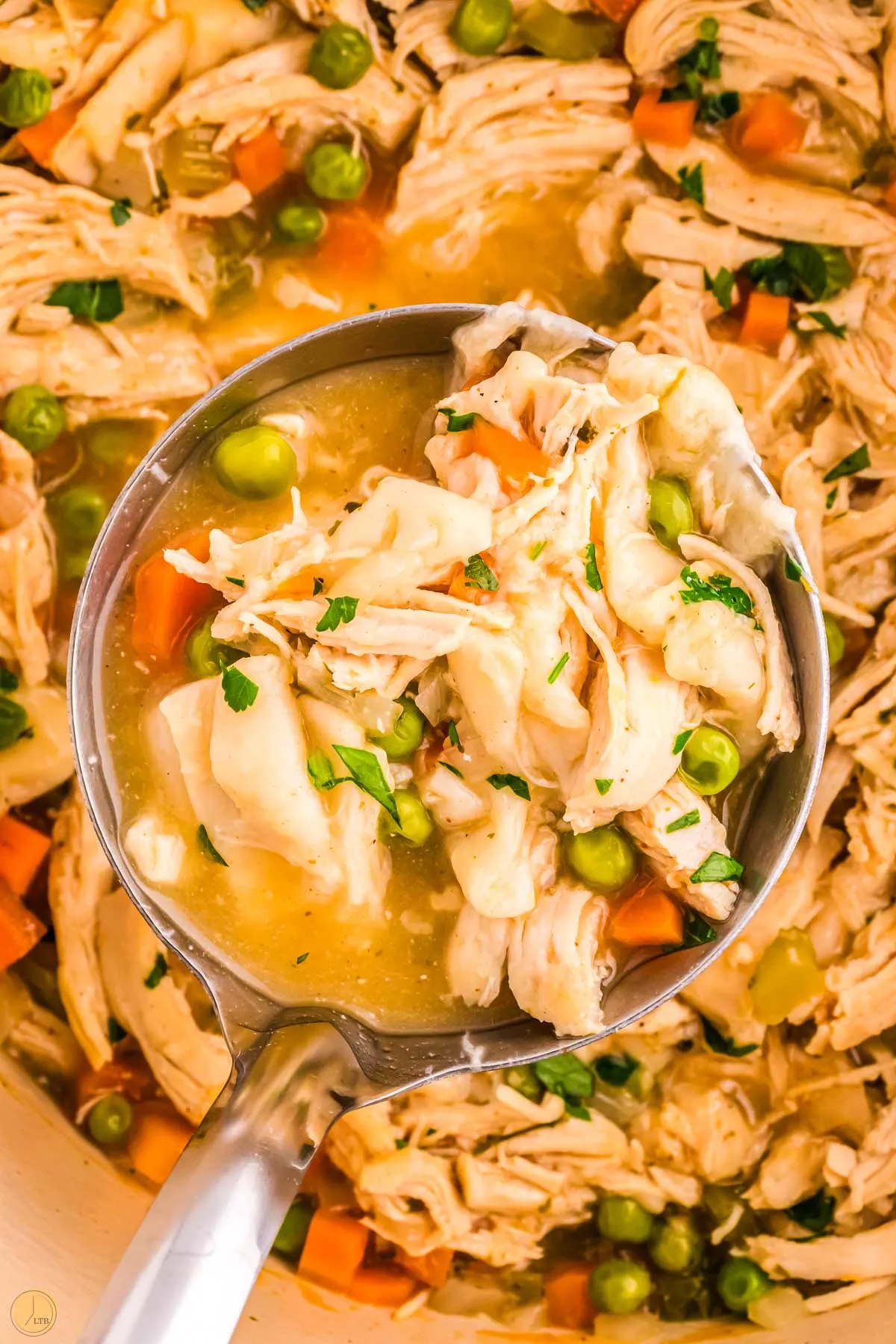 ladle of soup with chicken and dumplings with tortillas