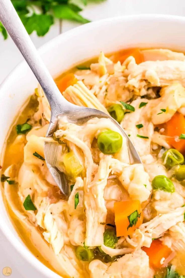 Chicken and Dumplings with Tortillas