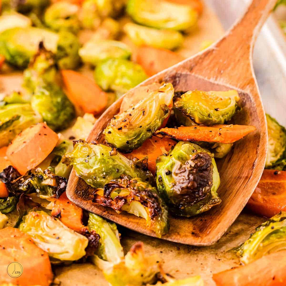roasted brussels sprouts and carrots on a pan