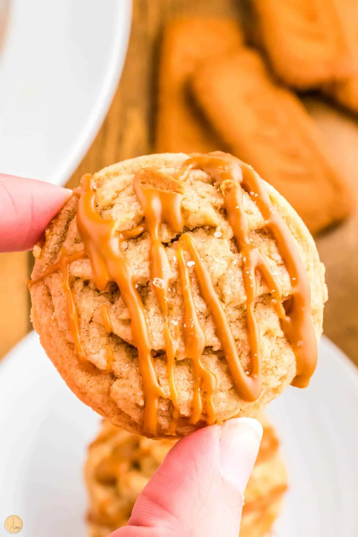hand holding biscoff butter cookie