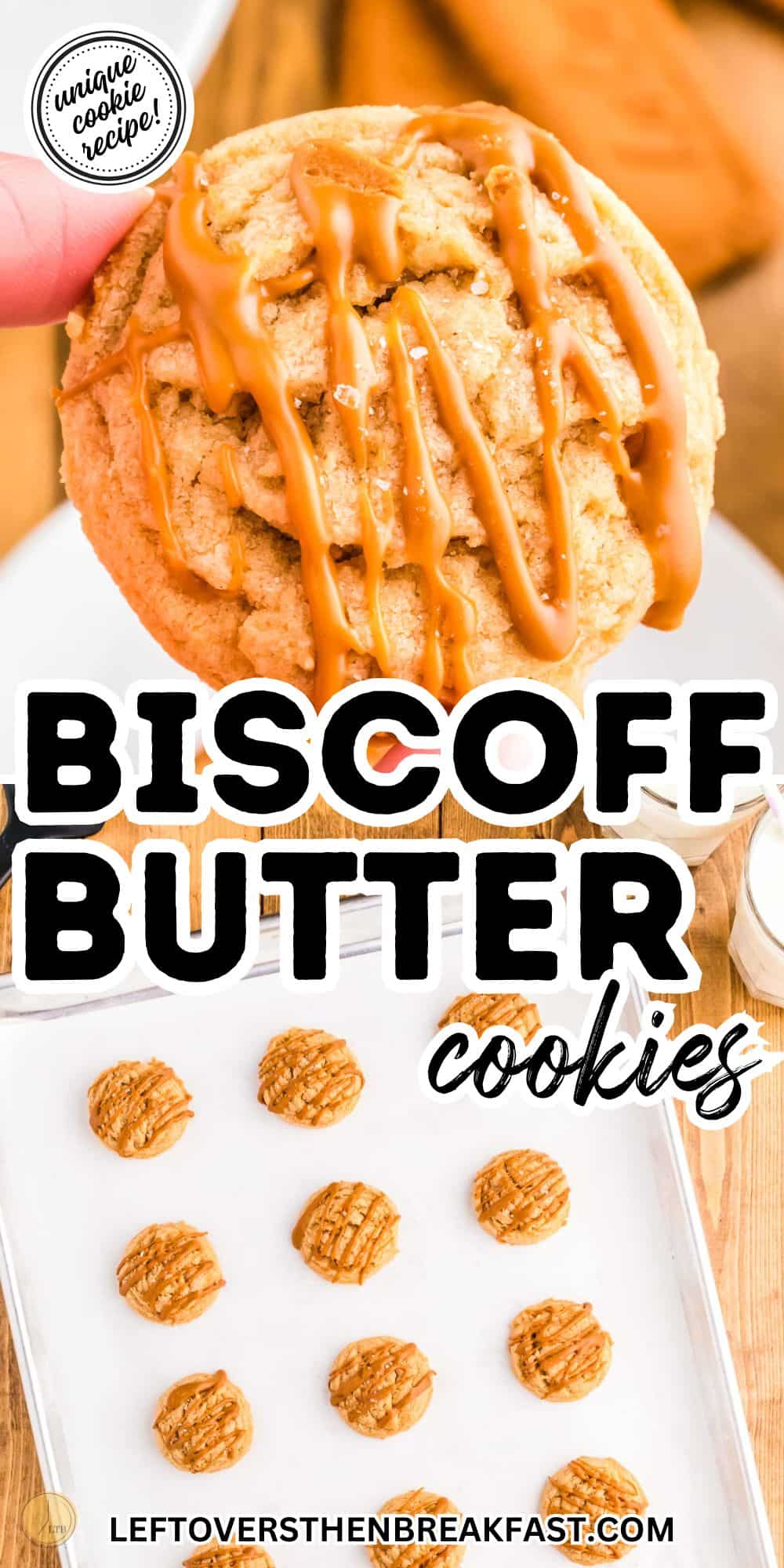 biscoff butter cookies