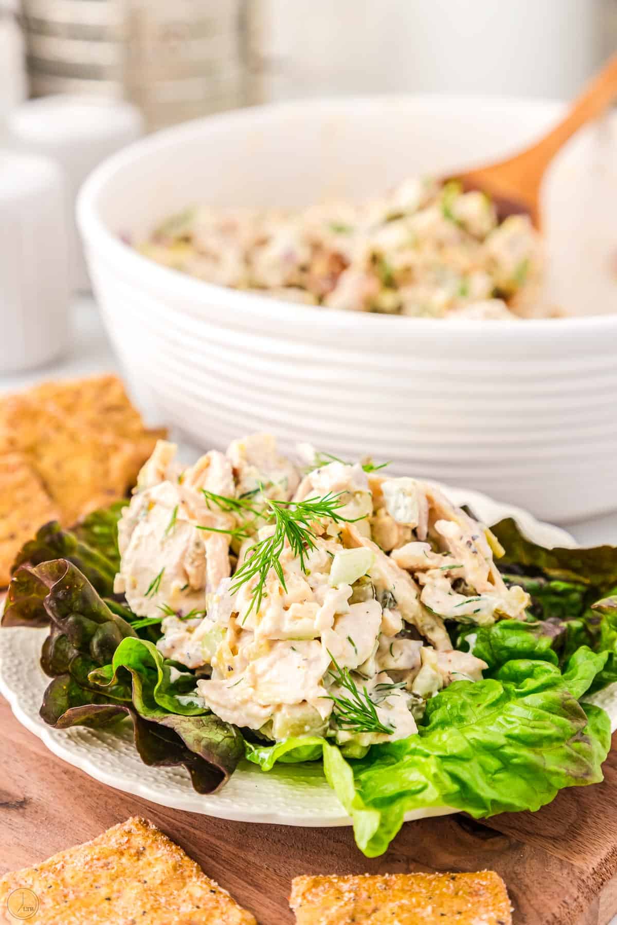 delicious chicken salad with dill pickle flavor on a lettuce leaf