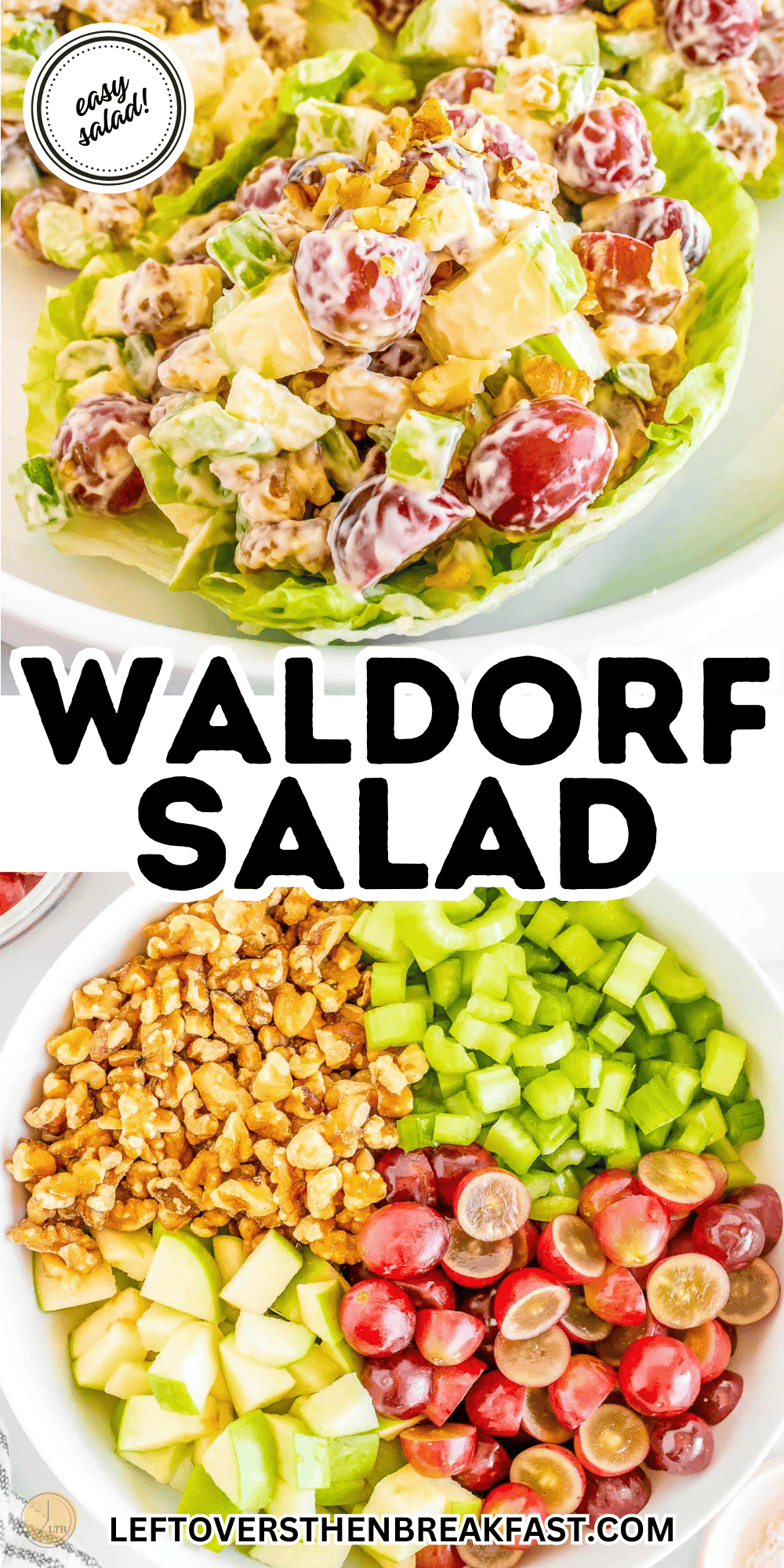 collage of waldorf salad pictures