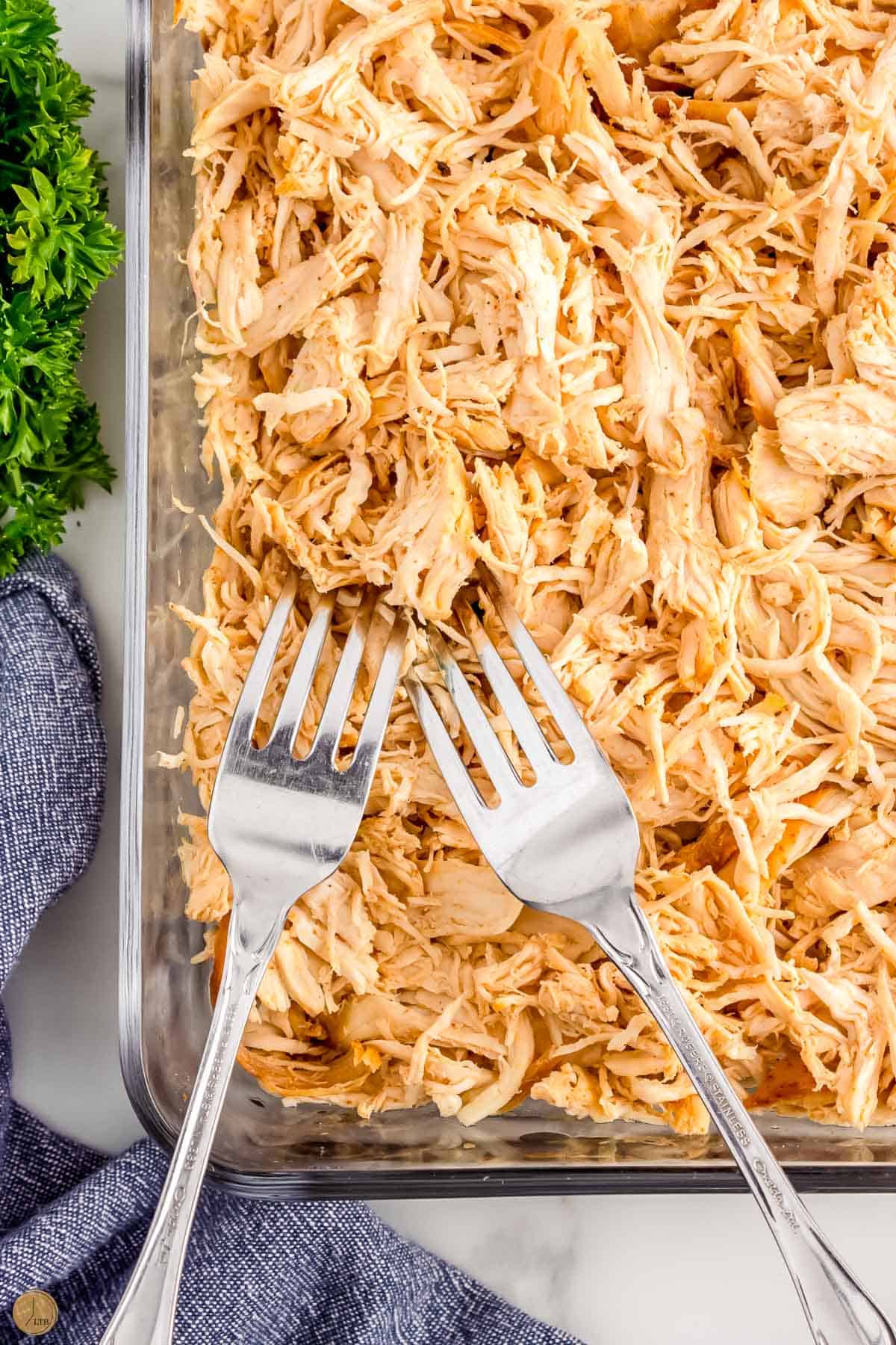 square bowl of shredded chicken