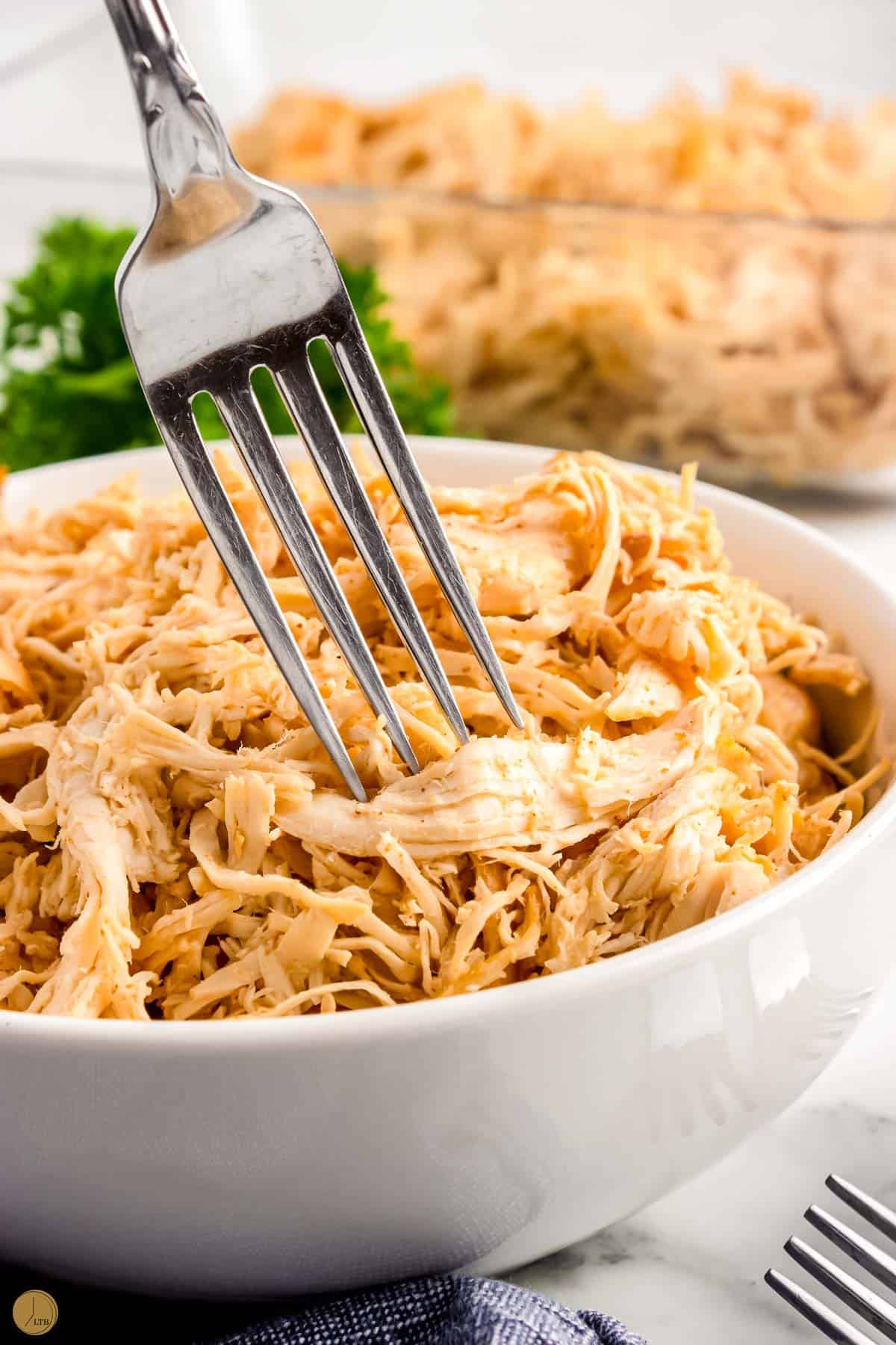 fork in a bowl of chicken