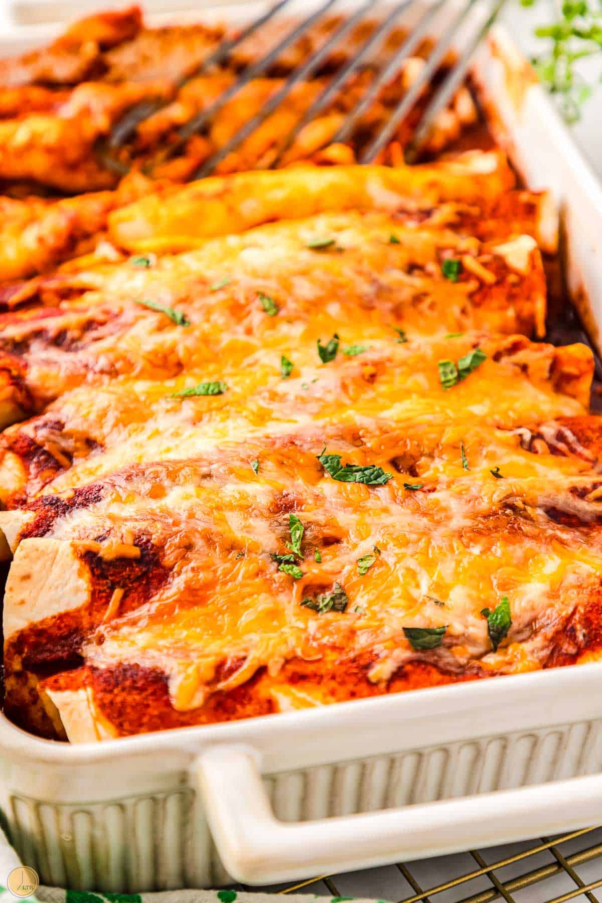 cheesy enchiladas in a white dish