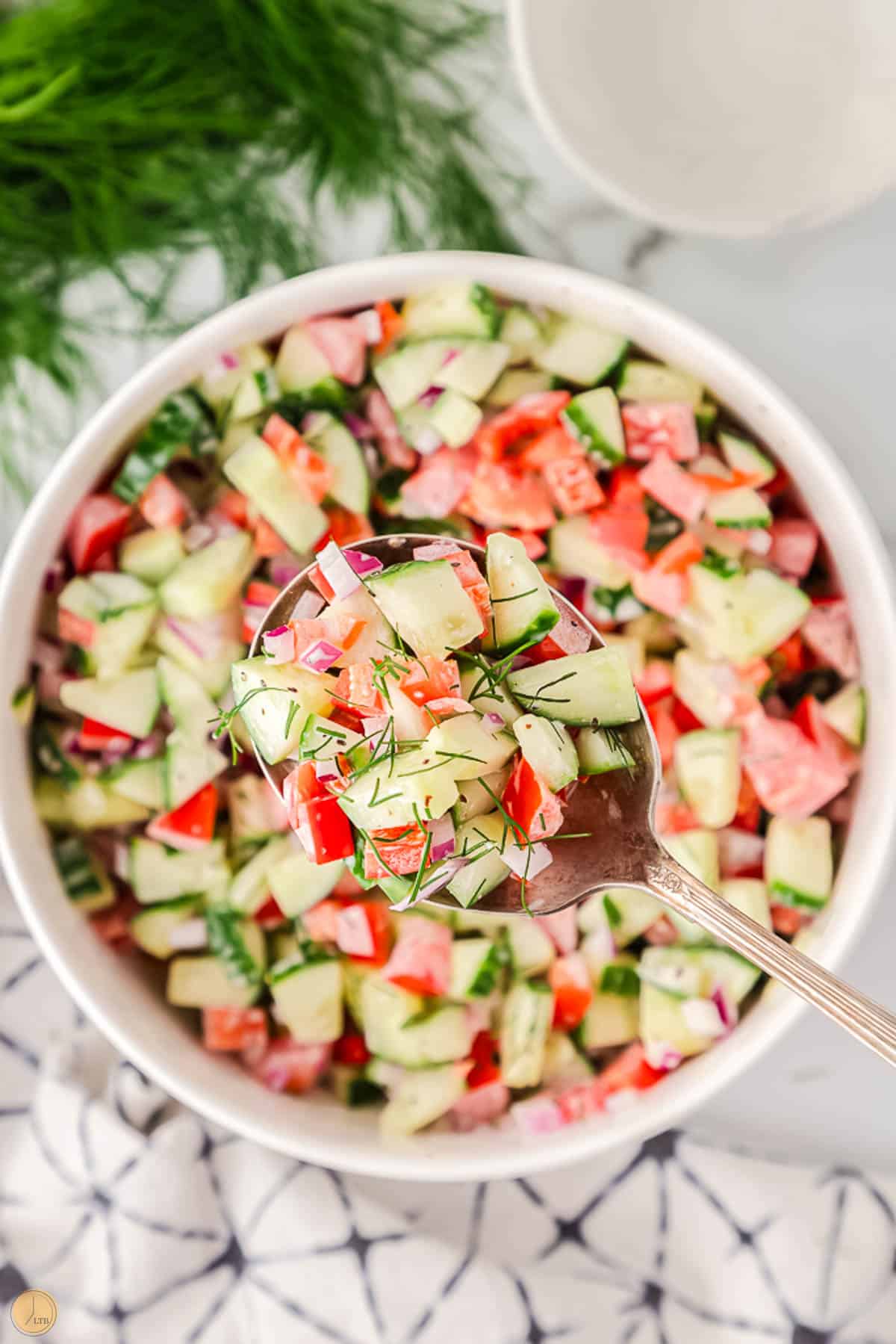 creamy tomato cucumber salad in a bowl with a silver spoon