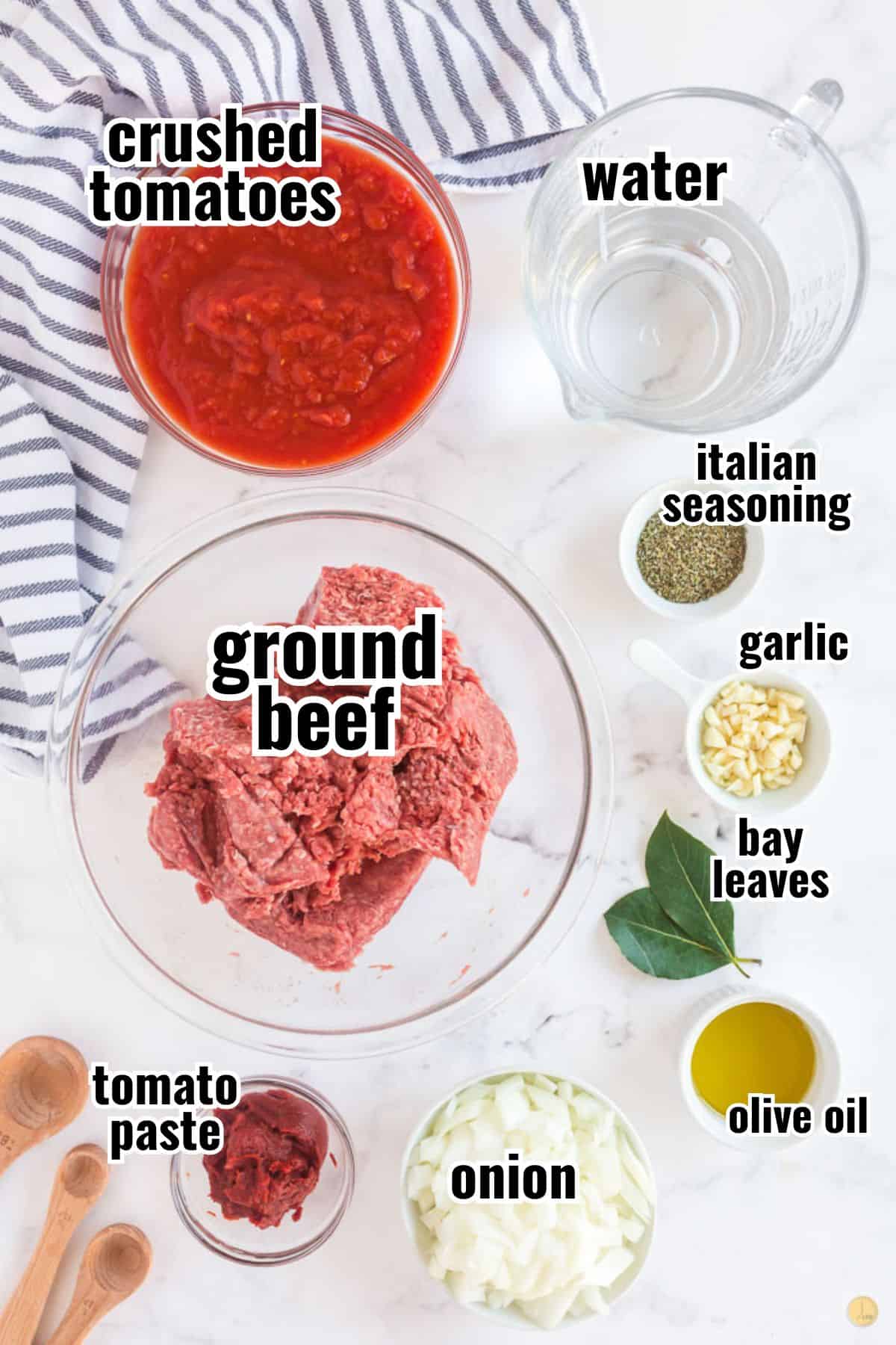 ingredients for meat sauce