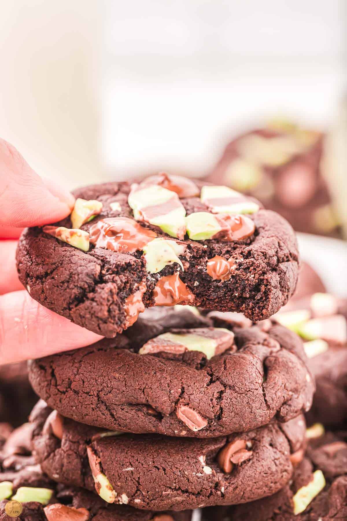 hand holding a cookie with a bite take out of it