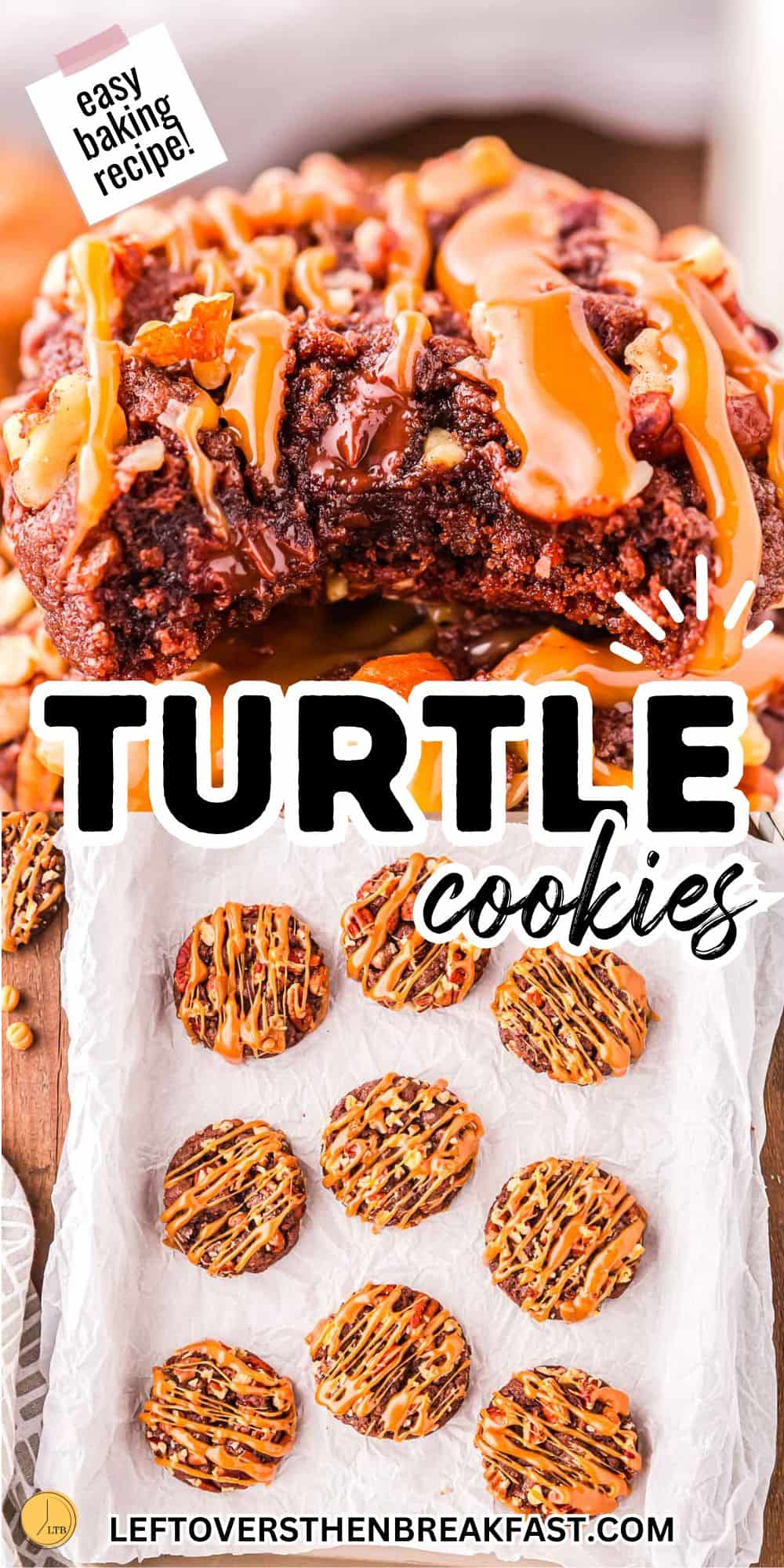 turtle cookies pinterest pin image