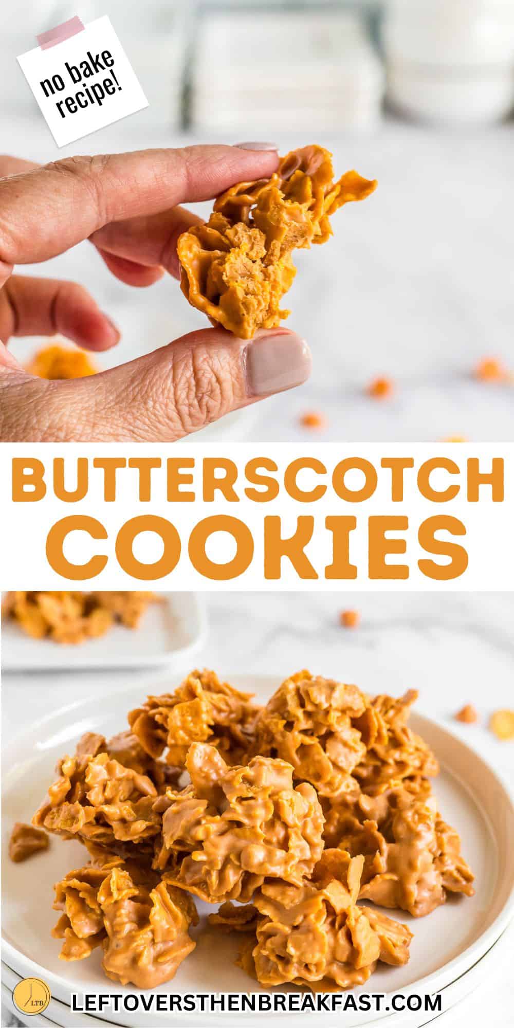 pinterest pin image for butterscotch cookies