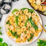 sour cream pasta recipe featured image